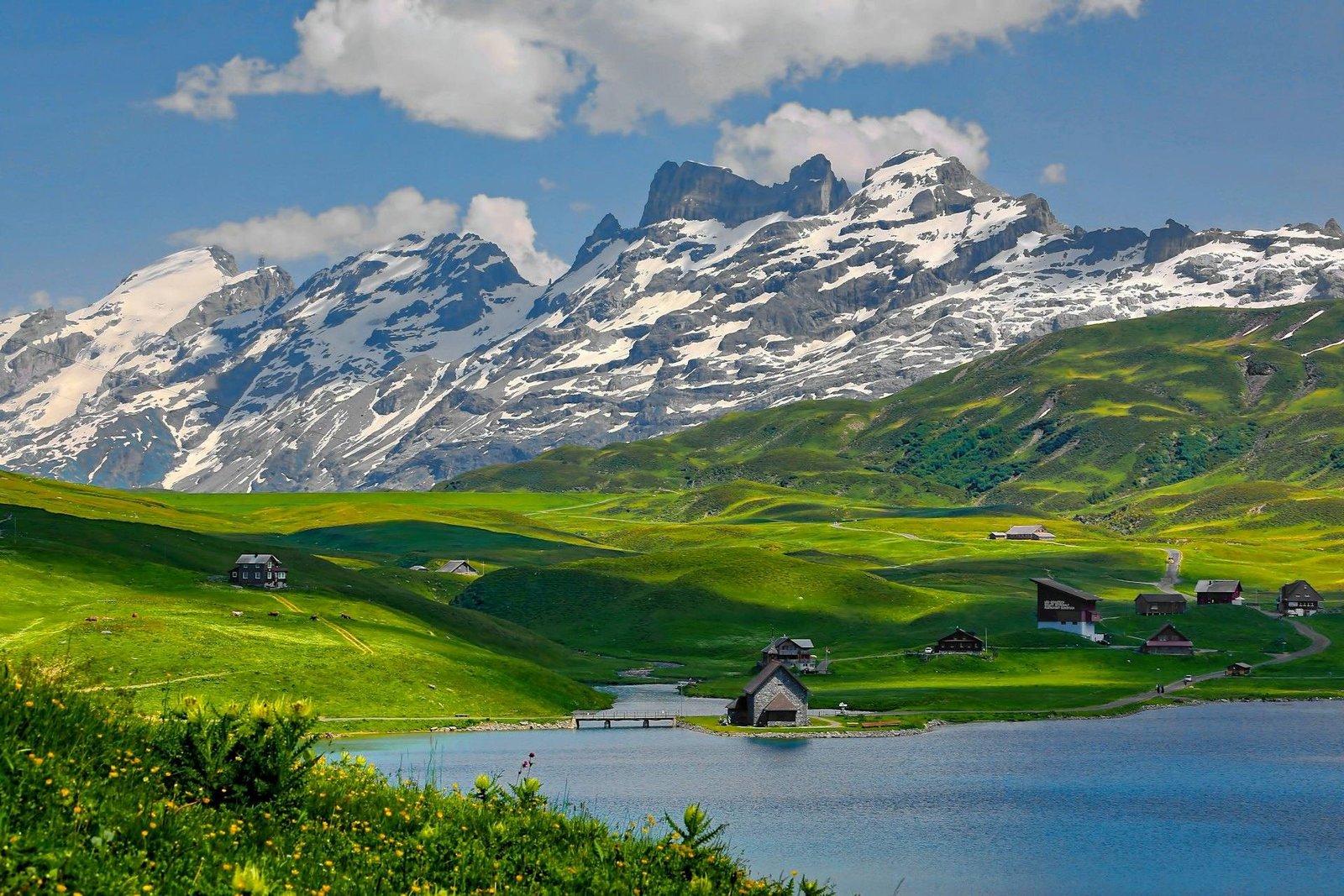 Alpine lake and meadows in Switzerland